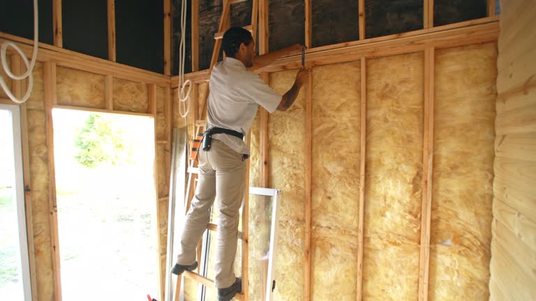 Best Spray Foam Insulation  in Pelican Rapids, MN