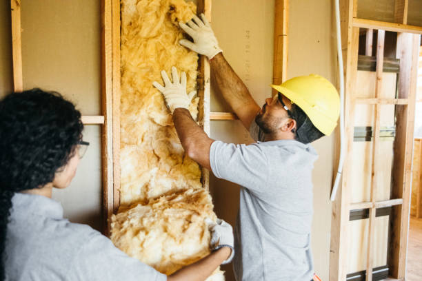 Best Insulation for New Construction  in Pelican Rapids, MN