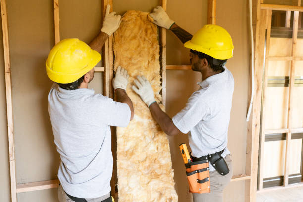 Best Attic Insulation Installation  in Pelican Rapids, MN